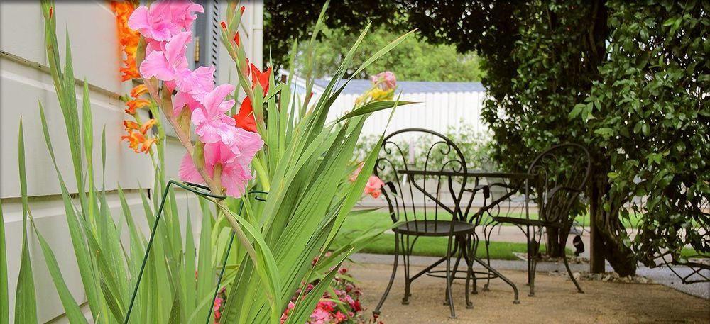 Arbor Guest House Napa Exterior photo