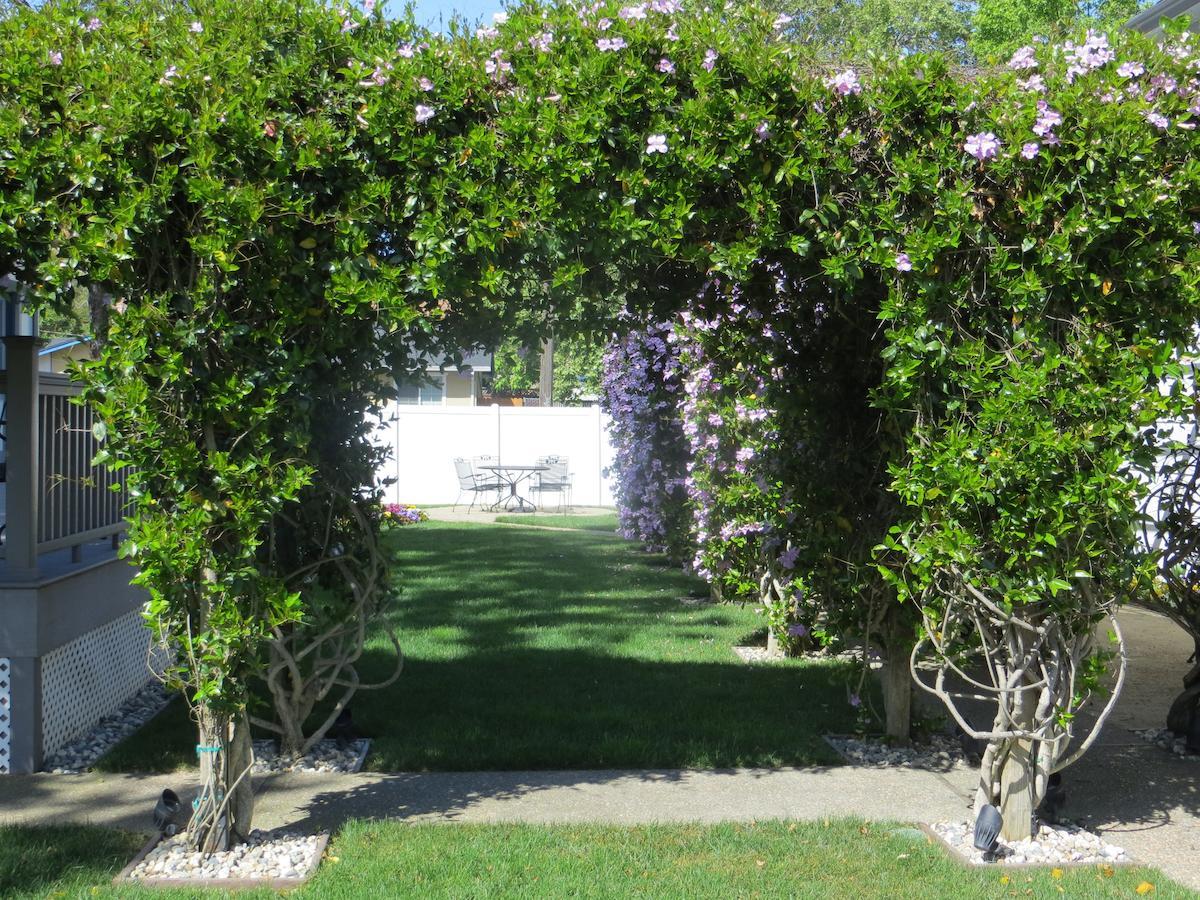 Arbor Guest House Napa Exterior photo